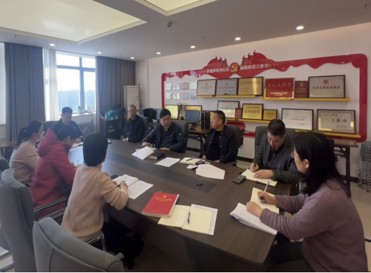 科技监督与诚信建设处党支部召开2024年度组织生活会